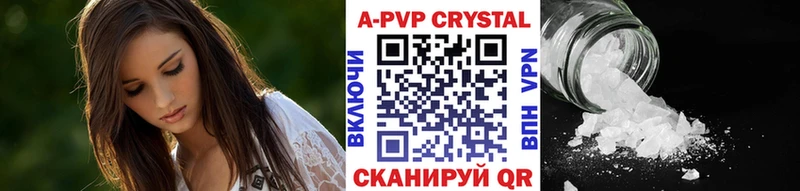 OMG ссылки  Майкоп  Альфа ПВП СК 