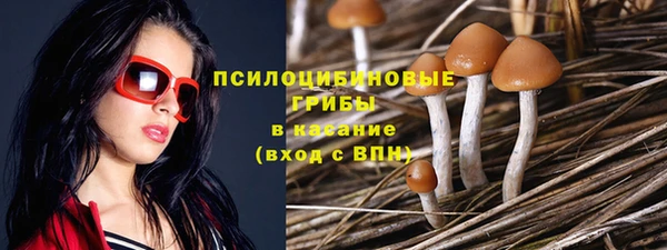 ALPHA-PVP Арсеньев